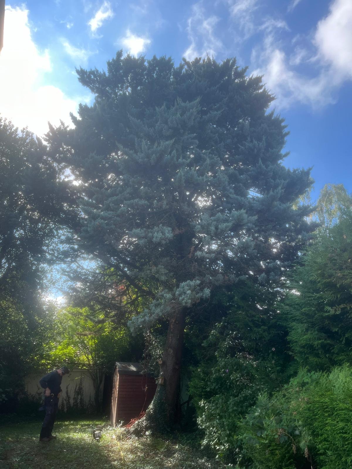 Travaux divers - Photo 9