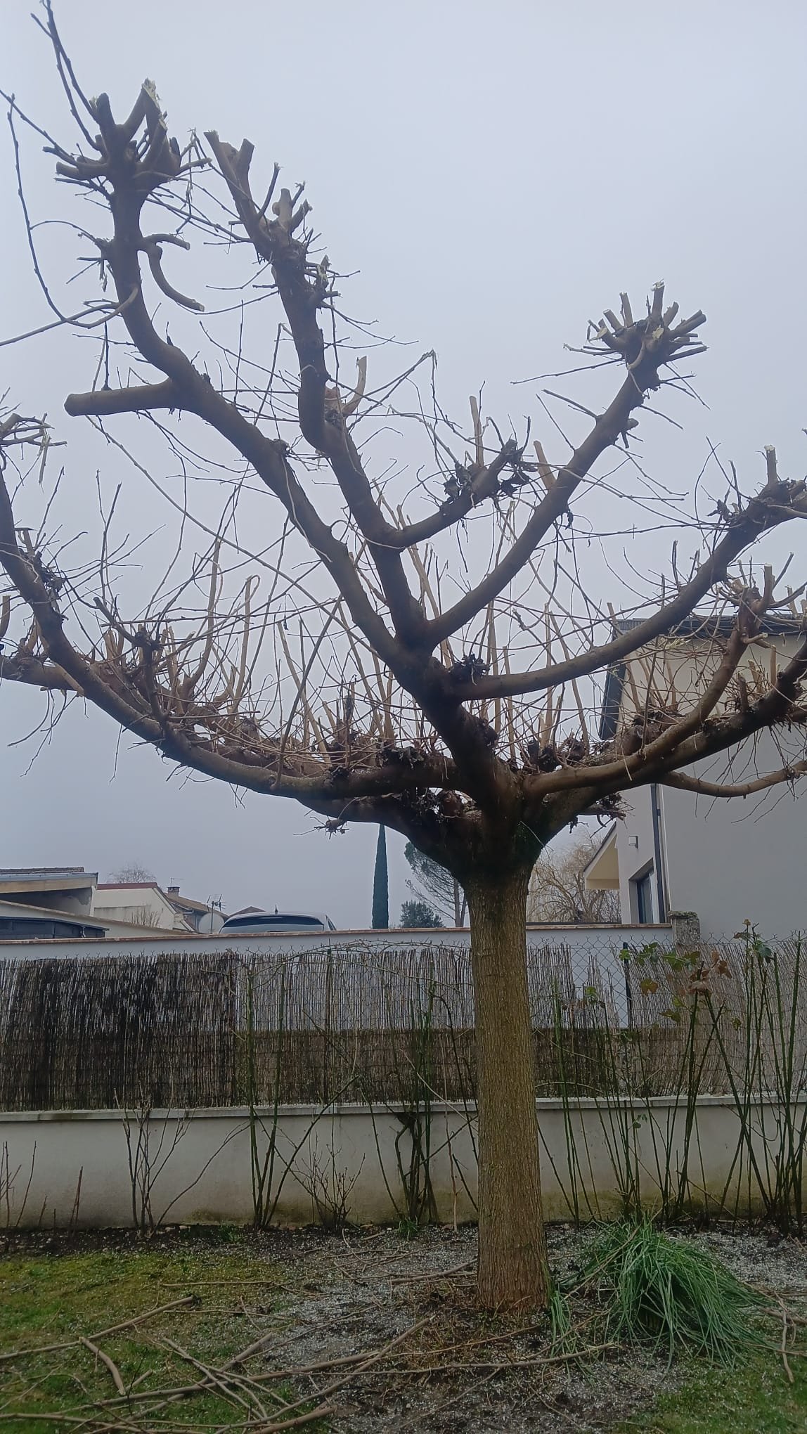 Travaux divers - Photo 12