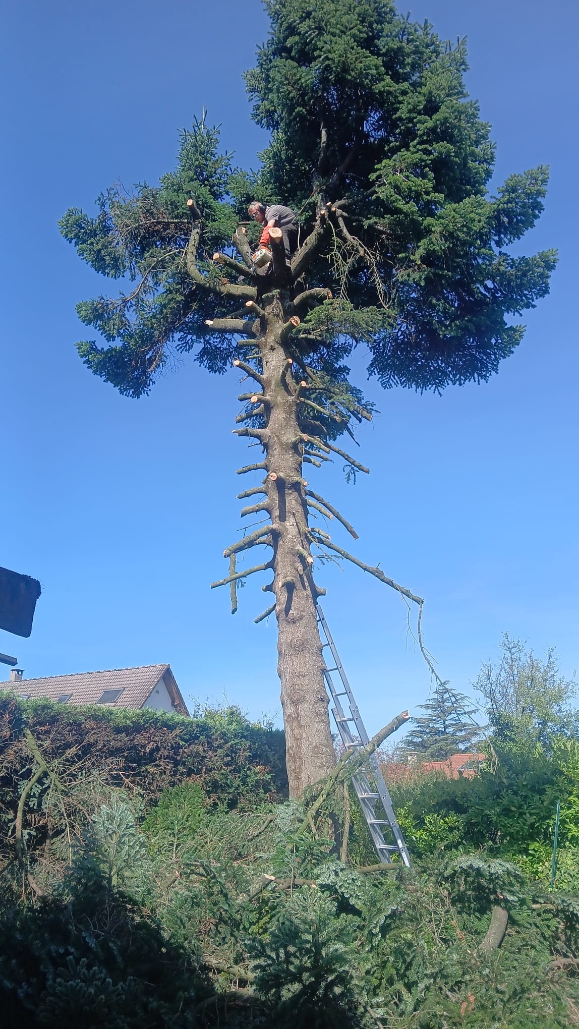 Travaux divers - Photo 5